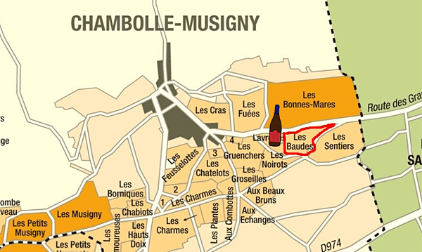 [勃根地地塊說]Chambolle Musigny-Les 