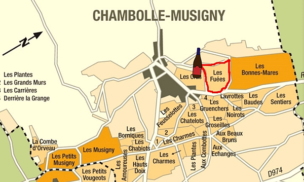 [勃根地地塊說]Chambolle Musigny-Les 