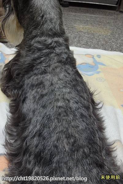 DSC00449