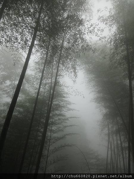 DSC09185.jpg