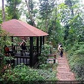 DSC_3810.JPG