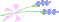 薰衣草