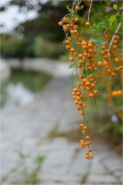 2012_11027台南藝術大學 (10)