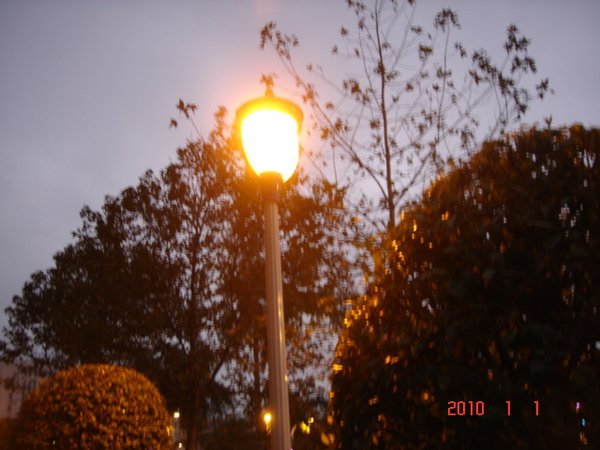 DSC07002.JPG