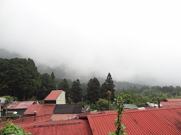 DSC09810.JPG