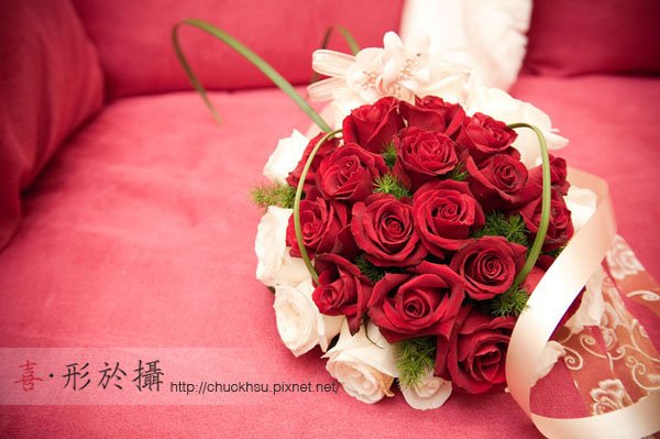 忠霖嘉玲結婚日記_101.jpg