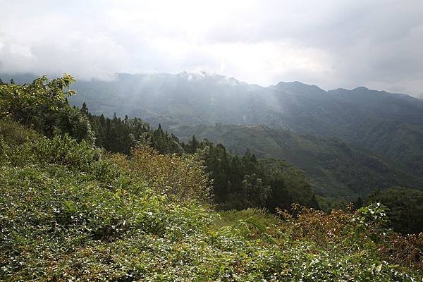 張家堡營地