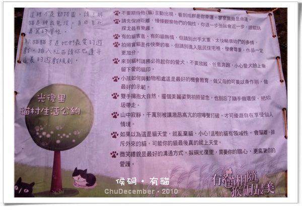 愛貓公約