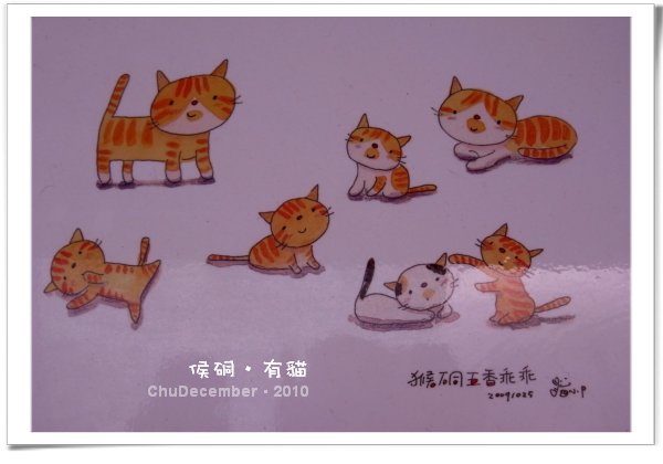 很可愛的喵圖，在里長家門口