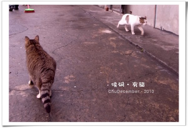 錯身