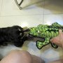 IMG_1858.jpg
