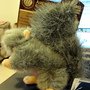 IMG_2266.jpg