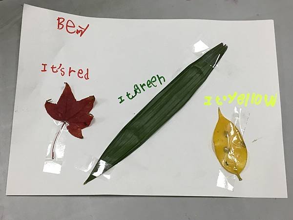IMG_3370.JPG