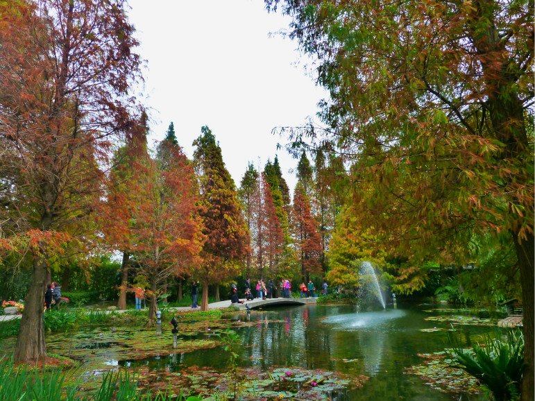 菁芳園休閒農場