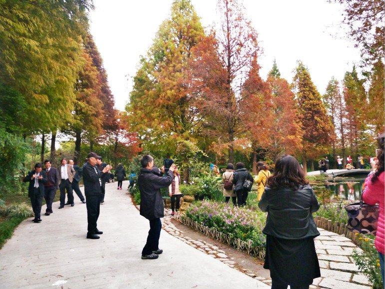 菁芳園休閒農場