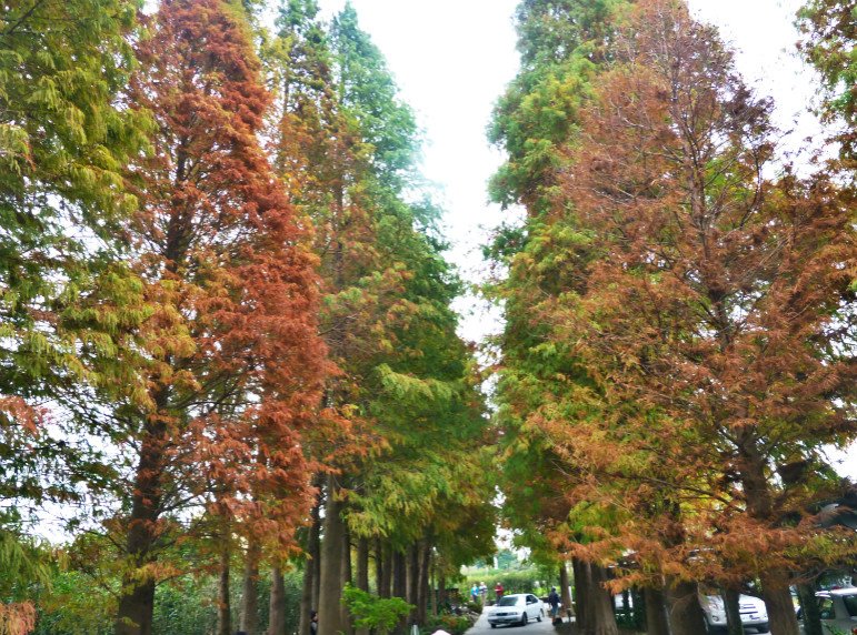 菁芳園休閒農場