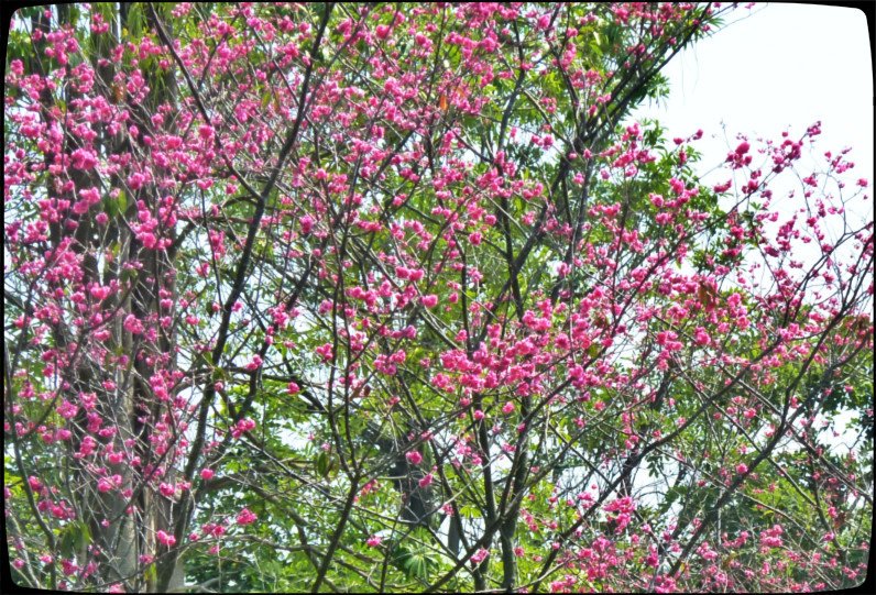 亞洲大學 009_meitu_1.jpg