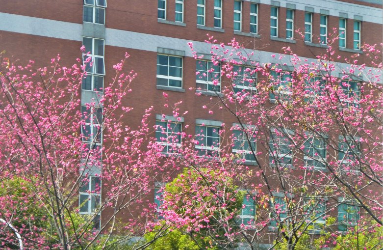 亞洲大學 024_meitu_1.jpg