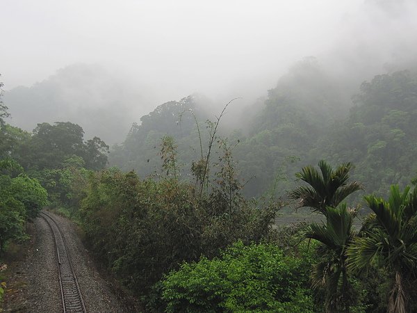 火車道與雲霧.jpg