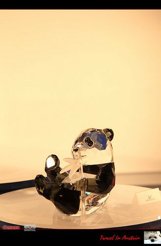 IMG_4757.jpg