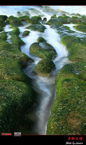 IMG_1607.jpg