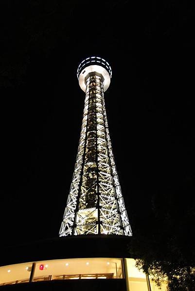 DSC03676(001).jpg