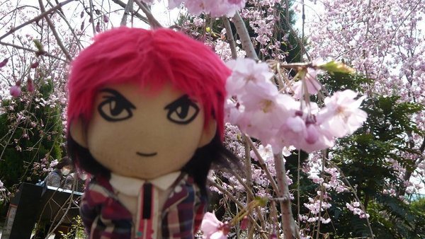 秀娃也要入鏡~~ &gt;w&lt;