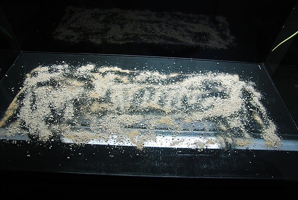 3尺魚缸 - 底床活化