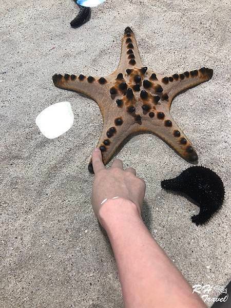 IMAG3261_2.jpg