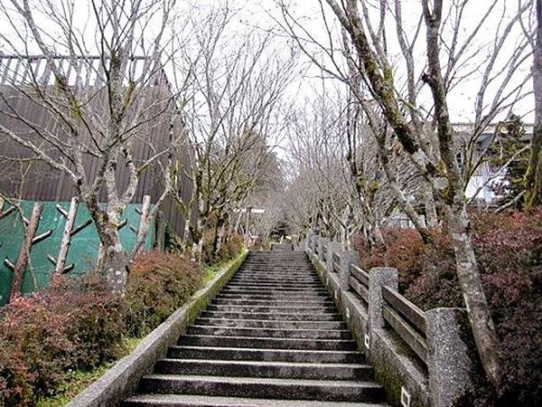 太平山中央階梯