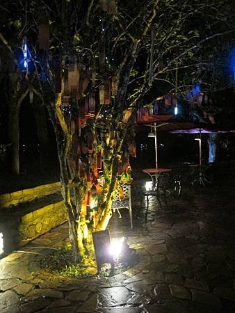 IMG_0861