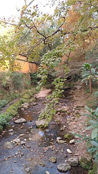 P_20181122_155921_vHDR_Auto.jpg