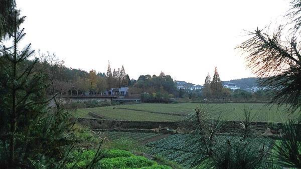 P_20181122_165232_vHDR_Auto_1.jpg