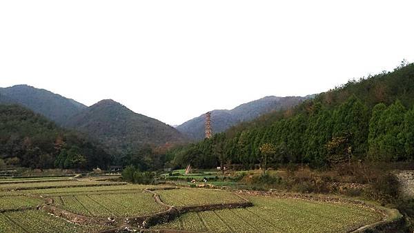P_20181122_165649_vHDR_Auto_1.jpg