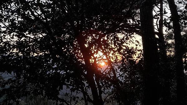 P_20181123_063820_vHDR_Auto.jpg