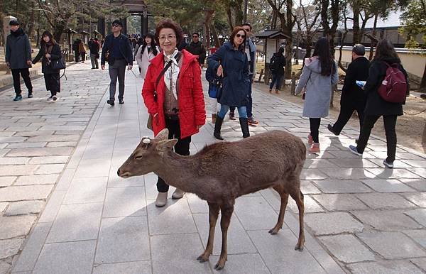 奈良公園