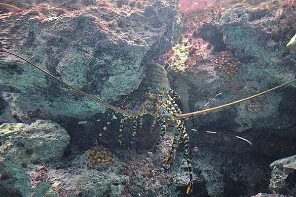 水族館