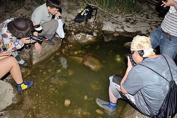 野外大山椒魚2.jpg