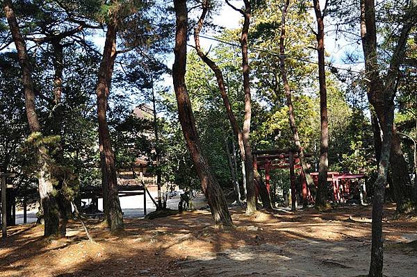 上野公園一景