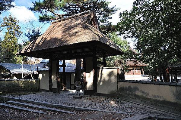 上野公園一景