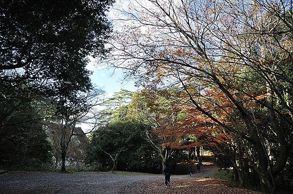 上野公園一景