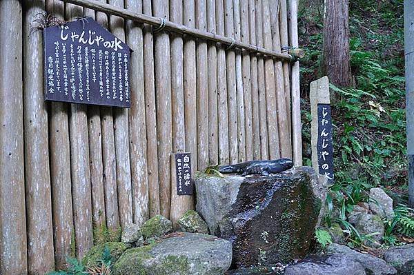 山椒魚造型的湧泉