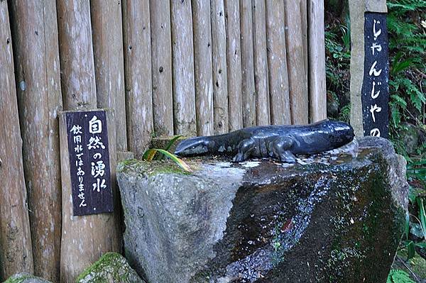 山椒魚造型的湧泉