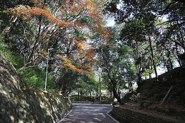 上野公園一景