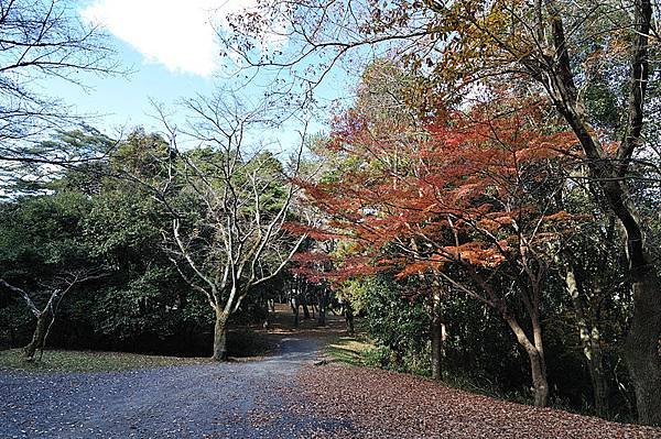 上野公園