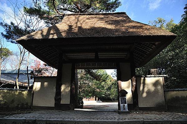 上野公園一景