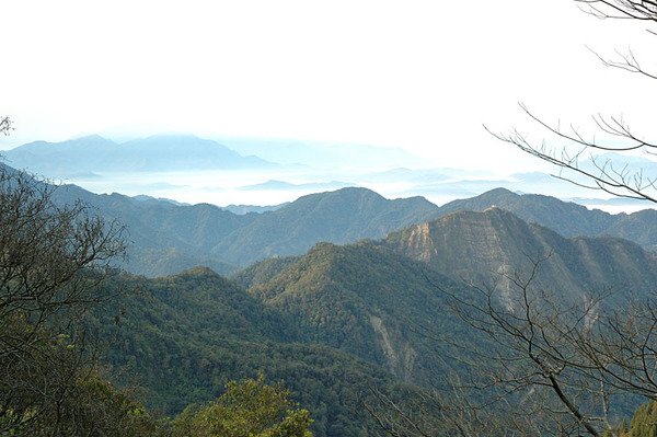 上山時的風景