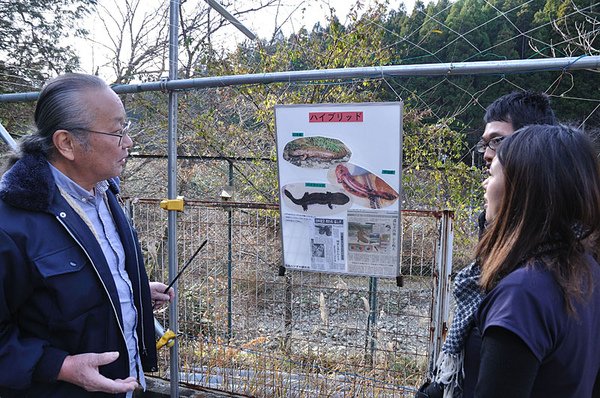 栃本先生正在解說如何分辨中國大鯢以及日本大山椒魚