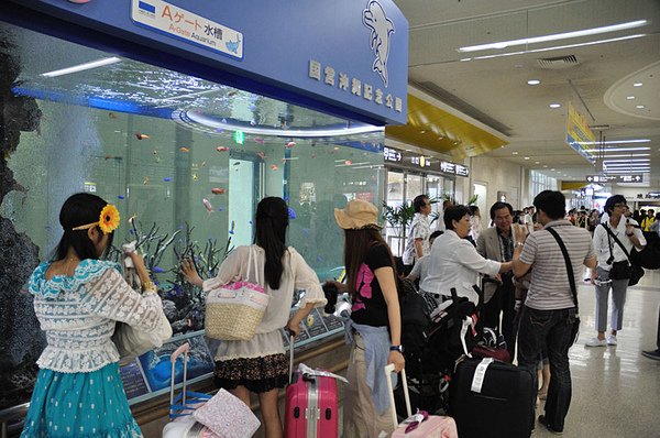 沖繩美之海水族館設在機場出口的水族箱~