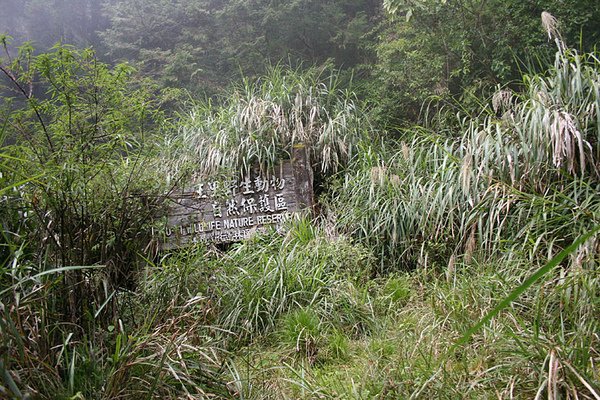 到達玉里野生動物保護區了